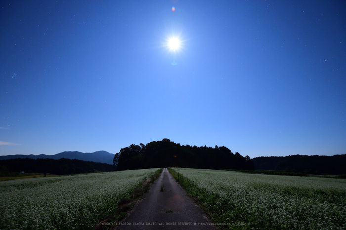 お写ん歩: Nikon AF-S NIKKOR 16-35mm f/4G ED VRアーカイブ